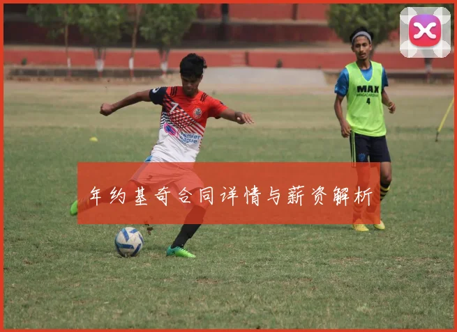年约基奇合同详情与薪资解析
