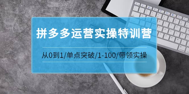 拼多多运营实操特训营：从0到1/单点突破/1-100/带领实操 价值2980元鱼涯创客-网创项目资源站-副业项目-创业项目-搞钱项目鱼涯创客