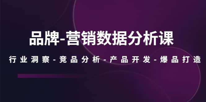 品牌-营销数据分析课，行业洞察-竞品分析-产品开发-爆品打造鱼涯创客-网创项目资源站-副业项目-创业项目-搞钱项目鱼涯创客