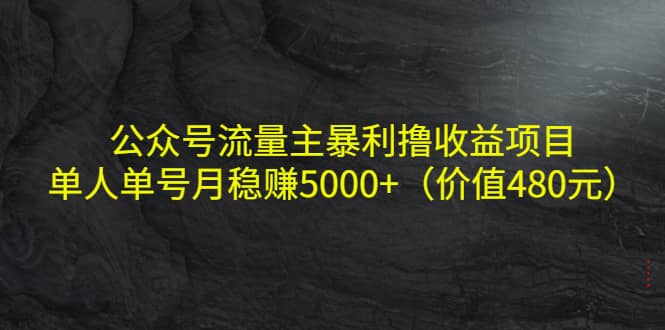 公众号流量主暴利撸收益项目，单人单号月稳赚5000+（价值480元）鱼涯创客-网创项目资源站-副业项目-创业项目-搞钱项目鱼涯创客