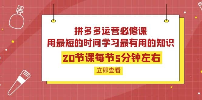 拼多多运营必修课：20节课每节5分钟左右，用最短的时间学习最有用的知识鱼涯创客-网创项目资源站-副业项目-创业项目-搞钱项目鱼涯创客