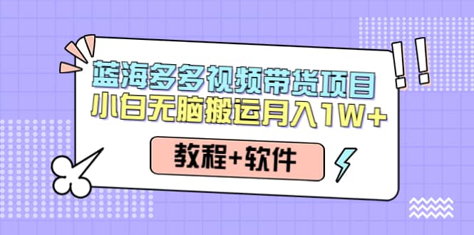 人人都能操作的蓝海多多视频带货项目 小白无脑搬运（教程+软件）鱼涯创客-网创项目资源站-副业项目-创业项目-搞钱项目鱼涯创客