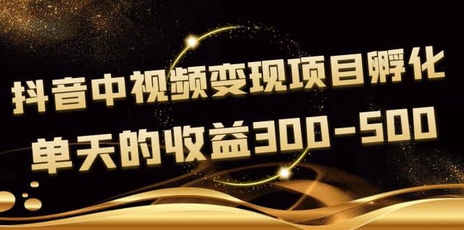 黄岛主《抖音中视频变现项目孵化》单天的收益300-500 操作简单粗暴鱼涯创客-网创项目资源站-副业项目-创业项目-搞钱项目鱼涯创客