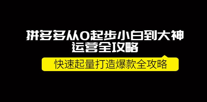 拼多多从0起步小白到大神运营全攻略鱼涯创客-网创项目资源站-副业项目-创业项目-搞钱项目鱼涯创客