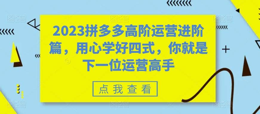 2023拼多多高阶运营进阶篇，用心学好四式，你就是下一位运营高手鱼涯创客-网创项目资源站-副业项目-创业项目-搞钱项目鱼涯创客
