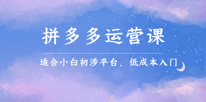 拼多多运营课，适合小白初涉平台，低成本入门鱼涯创客-网创项目资源站-副业项目-创业项目-搞钱项目鱼涯创客