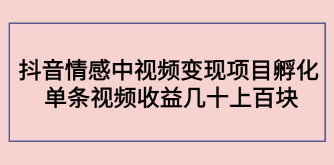 抖音情感中视频变现项目孵化鱼涯创客-网创项目资源站-副业项目-创业项目-搞钱项目鱼涯创客