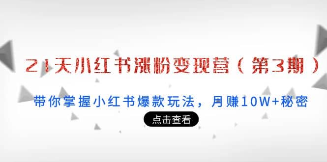 21天小红书涨粉变现营（第3期）：带你掌握小红书爆款玩法，月赚10W+秘密鱼涯创客-网创项目资源站-副业项目-创业项目-搞钱项目鱼涯创客