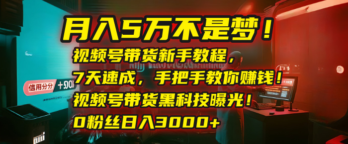 月入5万不是梦！视频号带货新手教程，7天速成，手把手教你赚钱！视频号带货黑科技曝光！0粉丝日入3000+鱼涯创客-网创项目资源站-副业项目-创业项目-搞钱项目鱼涯创客